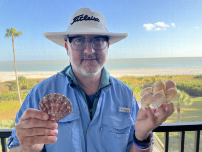 article image - SHELL FIND A1